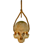 CeilingSkullLampFarket.png