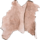 IconRaccoonSkin.png