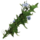 IconChicory.png