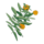 IconMarigold.png