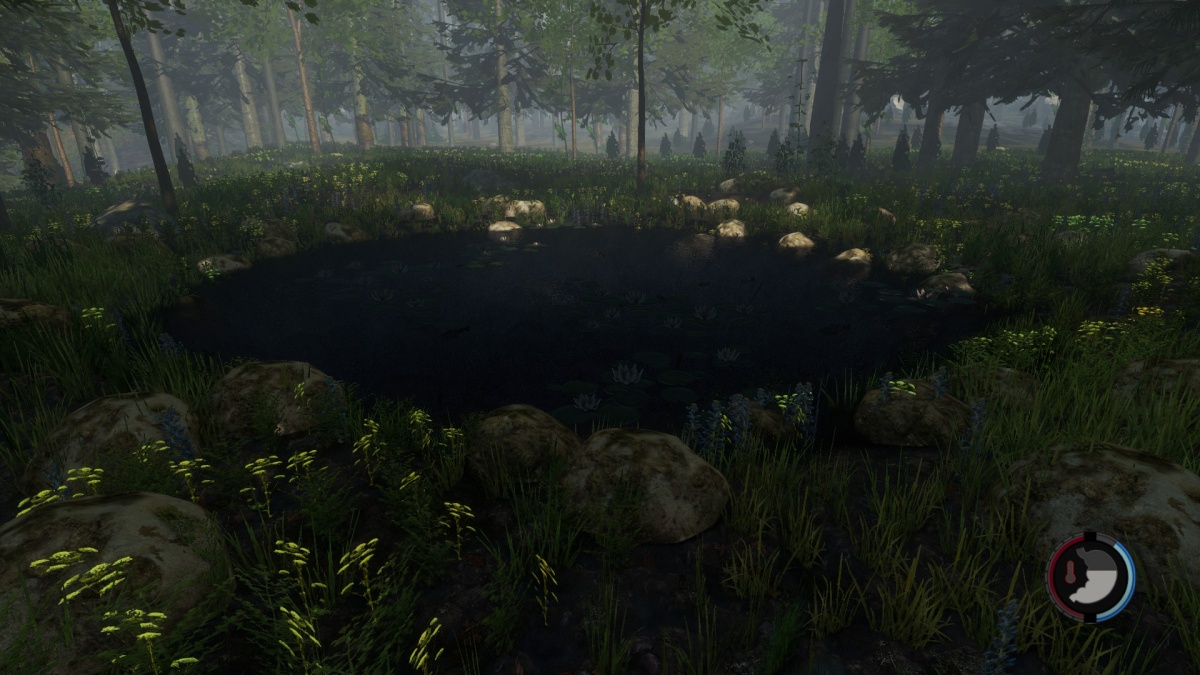 Fishing Pond Official The Forest Wiki