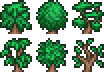 Living Leaf Bush.png
