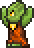 Sol Priestess.png