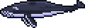 The Whale.png