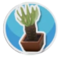 Yucca.png