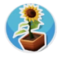 Sunflower.png