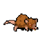 Large Rat.gif