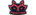 Procyon Teamlogo std.png