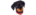 Blacktaillogo std.png