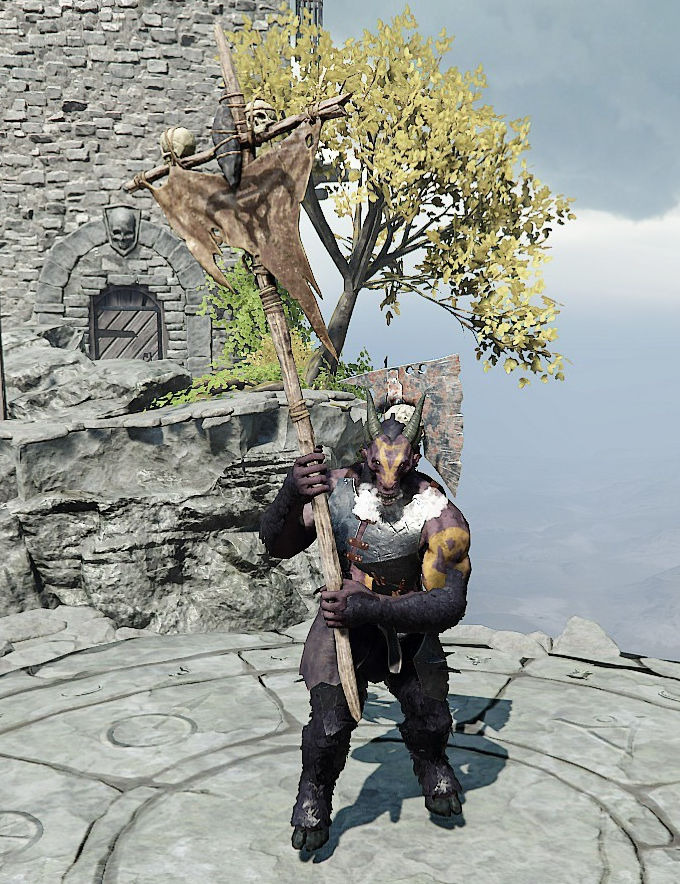 Standard Bearer Vermintide 2 Wiki