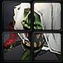 All Four.png