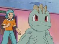 brawly s machop azurilland