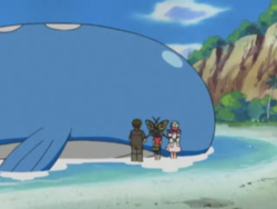 AG034: Having A Wailord Of A Time! - Azurilland Wiki