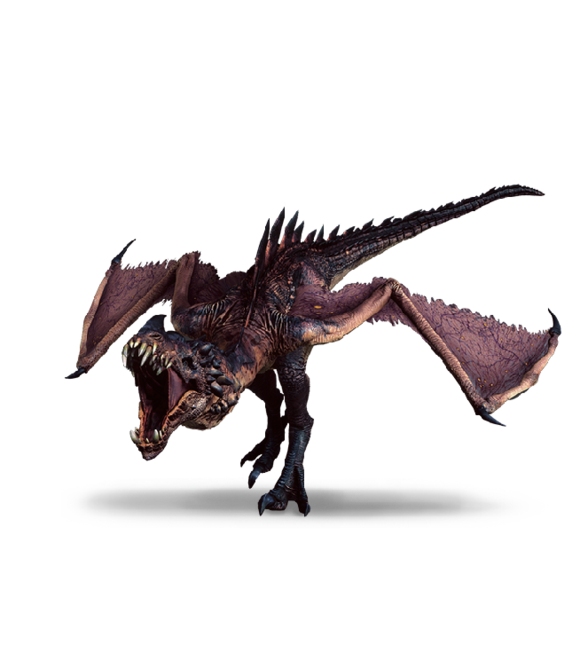 Wyvern The Official Witcher Wiki