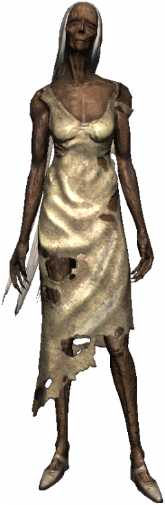 Read The Entry About Noonwraiths In The Bestiary Noonwraith - The Official Witcher Wiki