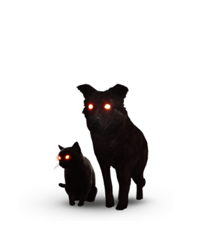 Il Gatto Nero E Il Cane Witcher Wiki Ufficiale