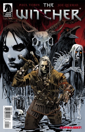 Book series the witcher is based on