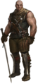 Letho The Official Witcher Wiki
