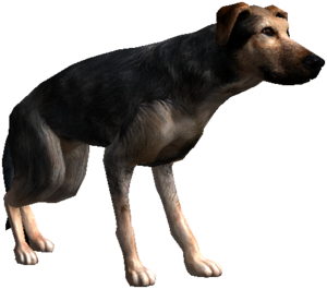 dog witcher guard edit gamepedia bestiary source