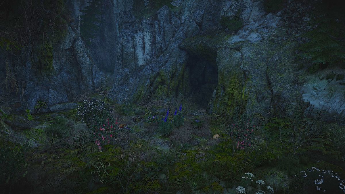 Greenhouse Effect The Official Witcher Wiki