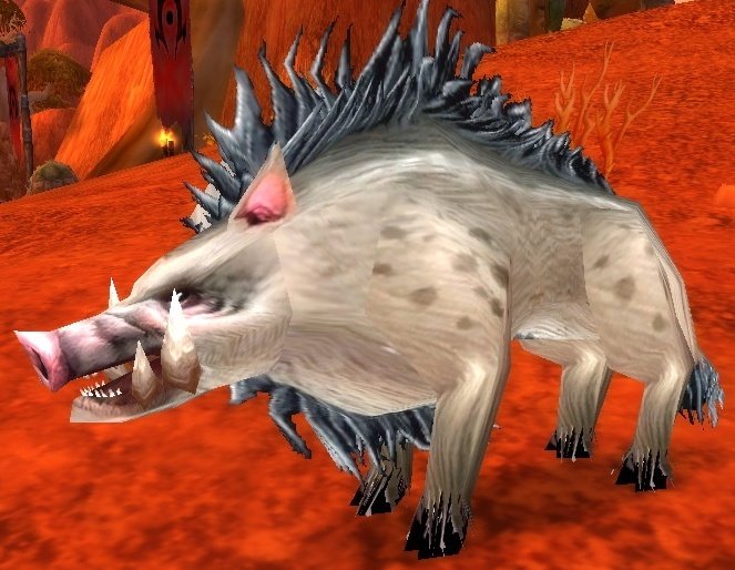 Mottled Boar Wowpedia Your wiki guide to the World of Warcraft