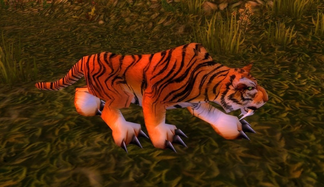 Stranglethorn Tiger Wowpedia Your wiki guide to the World of Warcraft
