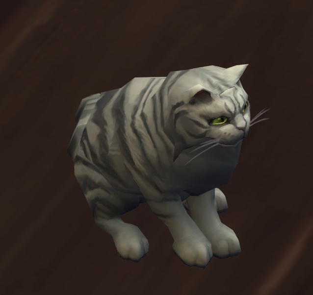 Ollie (cat) Wowpedia Your wiki guide to the World of Warcraft