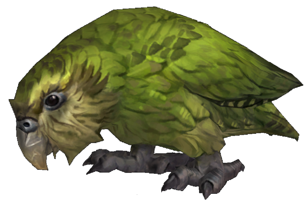 Kakapo - Wowpedia - Your wiki guide to the World of Warcraft