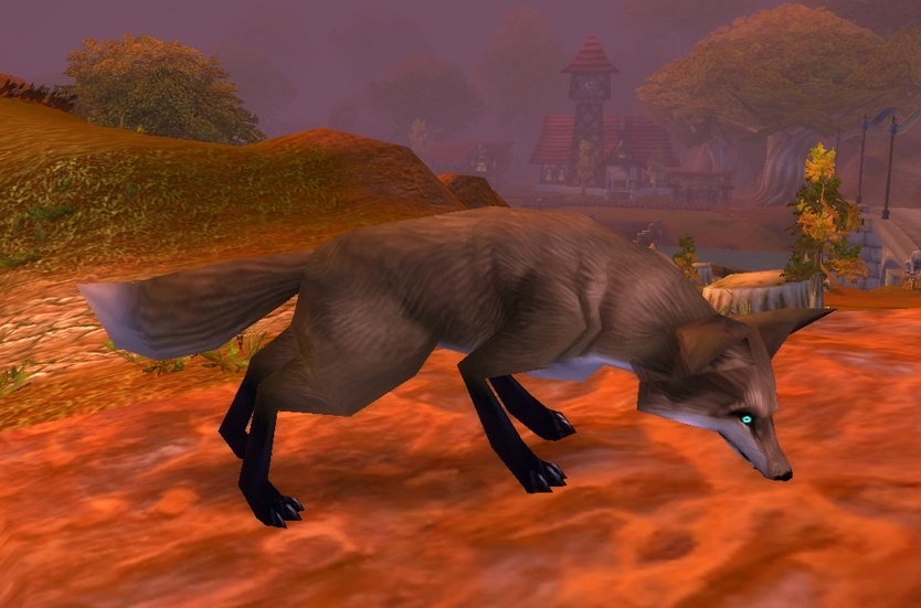 Redridge Fox Wowpedia Your wiki guide to the World of Warcraft