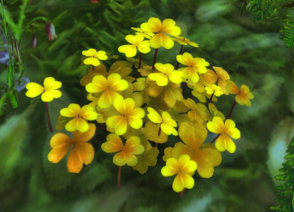 Flower of Peace Wowpedia Your wiki guide to the World of Warcraft