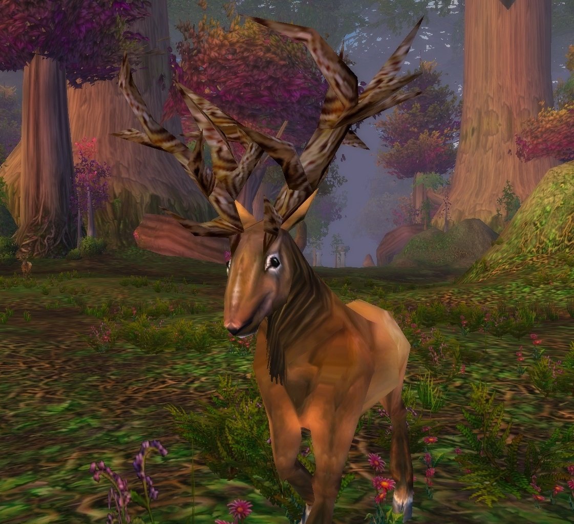 Wild Buck Wowpedia Your wiki guide to the World of Warcraft