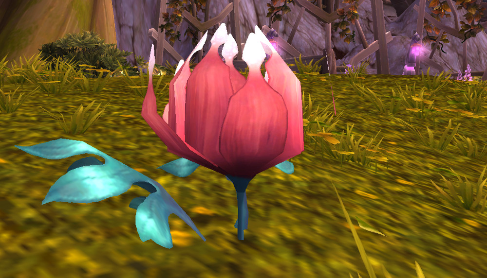 Mysterious Flower (Talador) Wowpedia Your wiki guide to the World