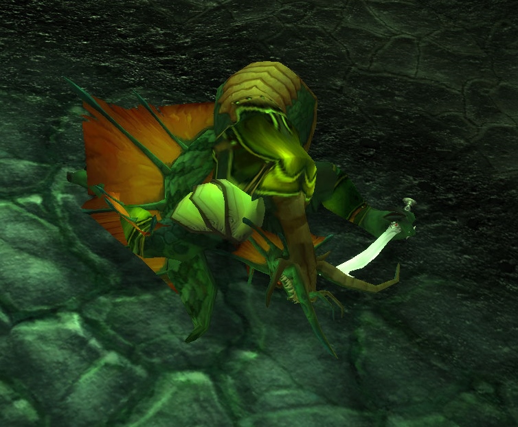 Coilskar Screamer Wowpedia Your wiki guide to the World of Warcraft