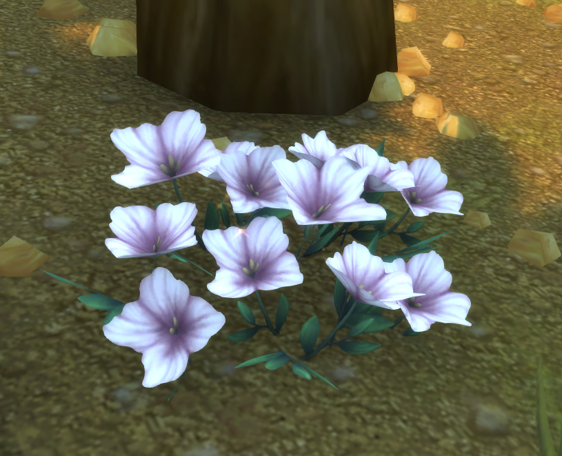 Flower of Sincerity Wowpedia Your wiki guide to the World of Warcraft