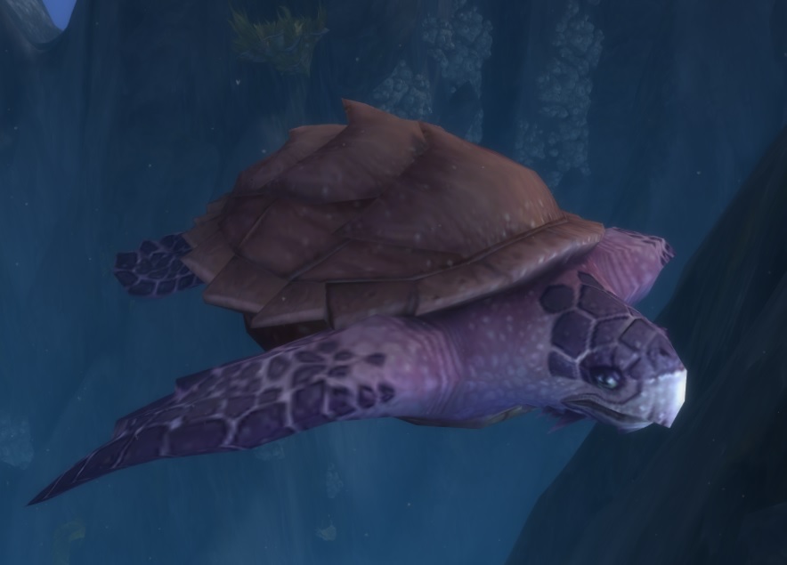 Archelion Great Turtle (Nazjatar) Wowpedia Your wiki guide to the