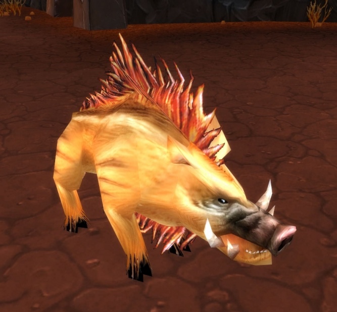 Tusker (boar) Wowpedia Your wiki guide to the World of Warcraft