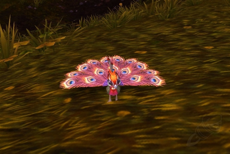 Peacock Wowpedia Your wiki guide to the World of Warcraft