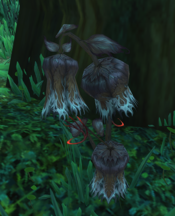 Flower of Solemnity Wowpedia Your wiki guide to the World of Warcraft