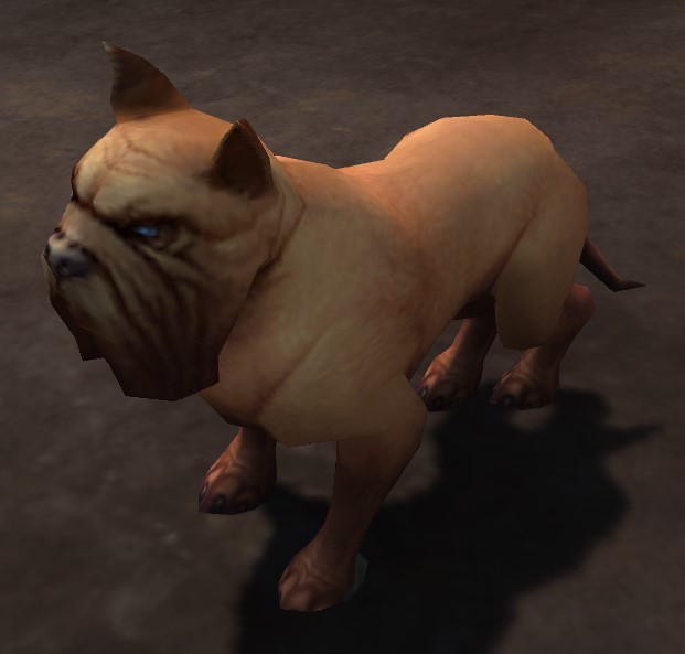 Wild Dog Wowpedia Your wiki guide to the World of Warcraft