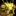IconSmall Mantid.gif