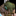 IconSmall Jinyu.gif