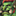 IconSmall Kazra'jin.gif