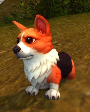 corgi pup wowpedia your