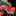 IconSmall CloudSerpent.gif