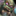 IconSmall PlagueEruptor.gif