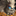 IconSmall MoguTitan.gif
