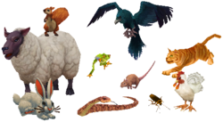 Critters.png