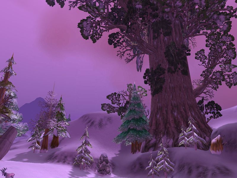 File:Winterspring.jpg