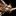 IconSmall Atramedes.gif