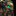 IconSmall IronVrykul Male.gif